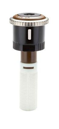MP rotator MP side strip bruin