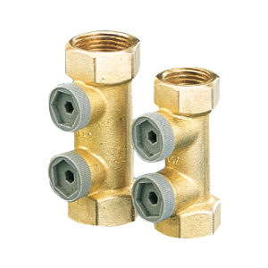 [600405025] Socla non-return valve 1" FF